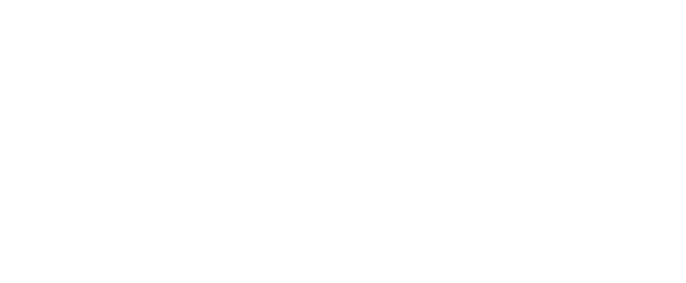 Integrity Analytics